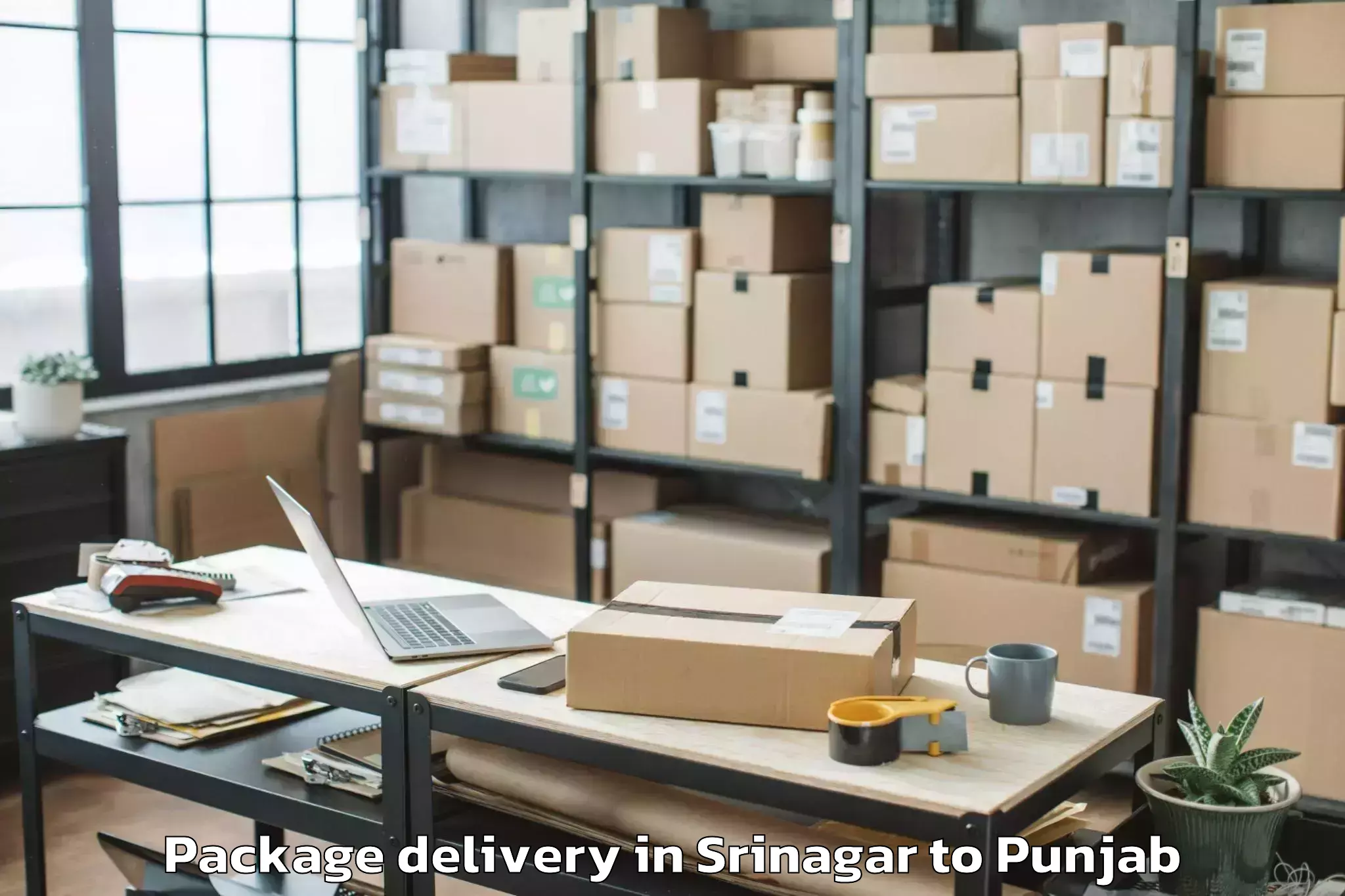 Trusted Srinagar to Kharar Package Delivery